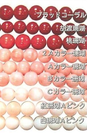 珊瑚.jpg